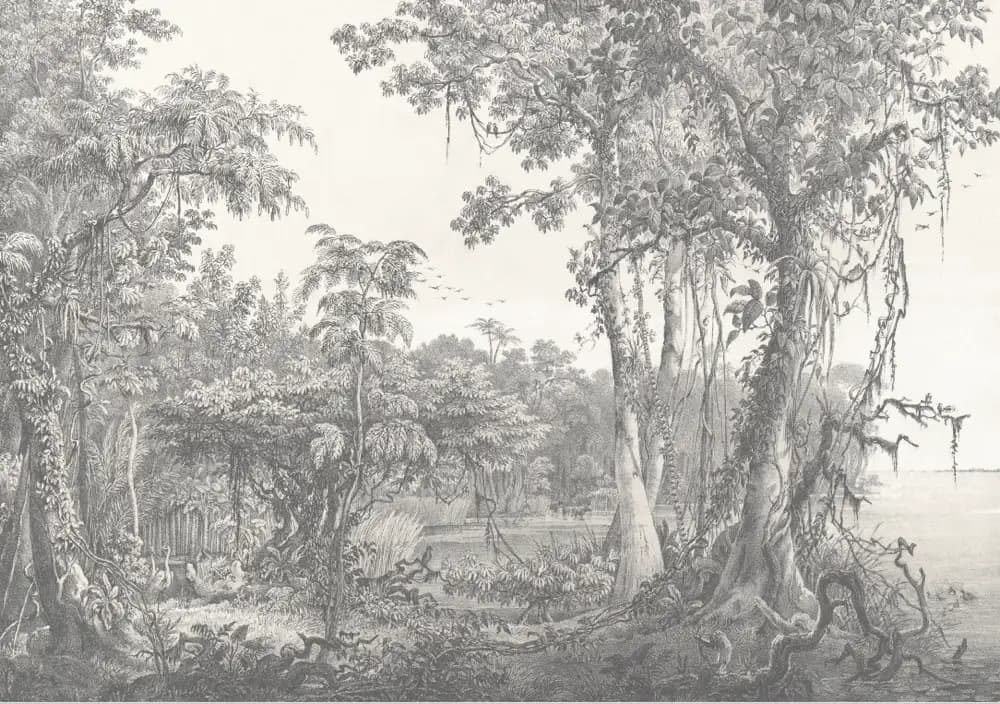 Murals
